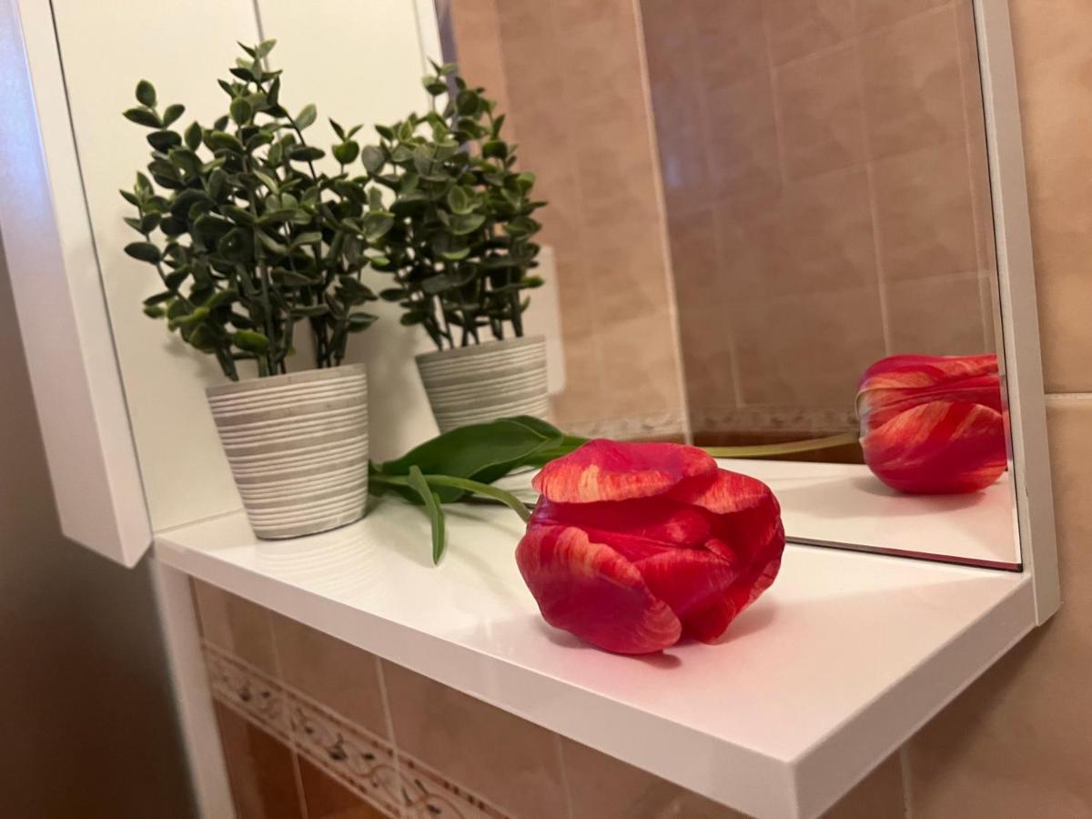 Apartment Lala Sombor Dış mekan fotoğraf