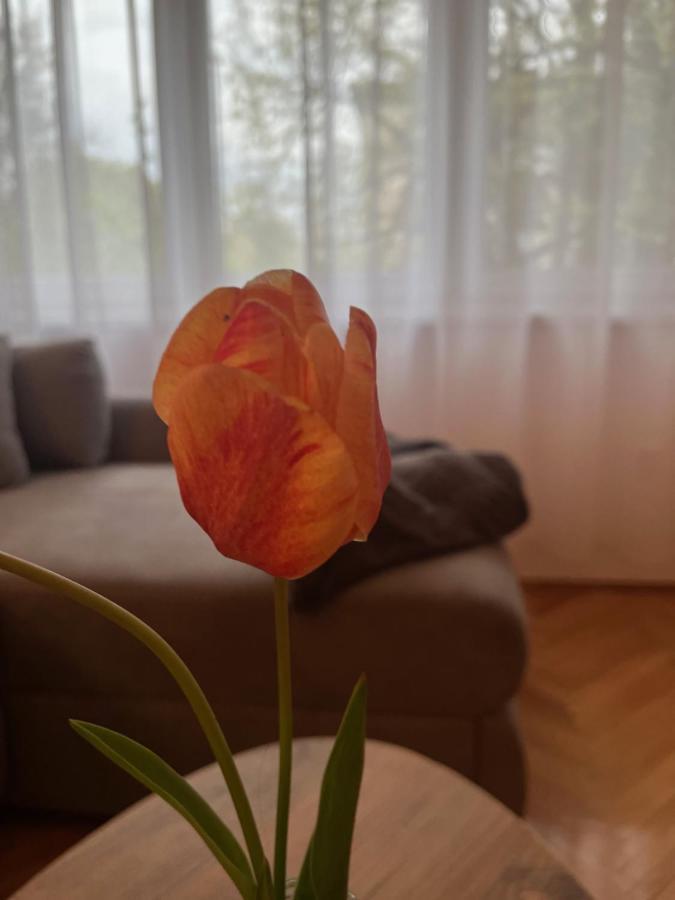 Apartment Lala Sombor Dış mekan fotoğraf